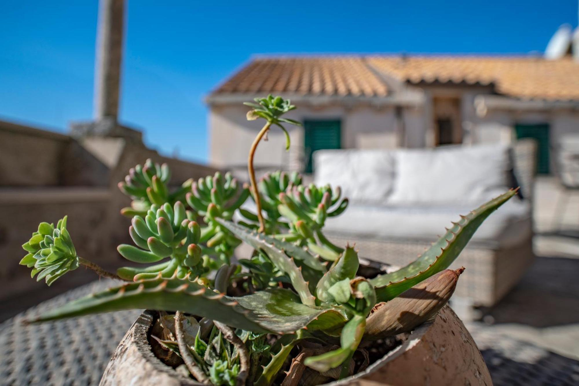 Villa Ragusa Vecchia Bagian luar foto
